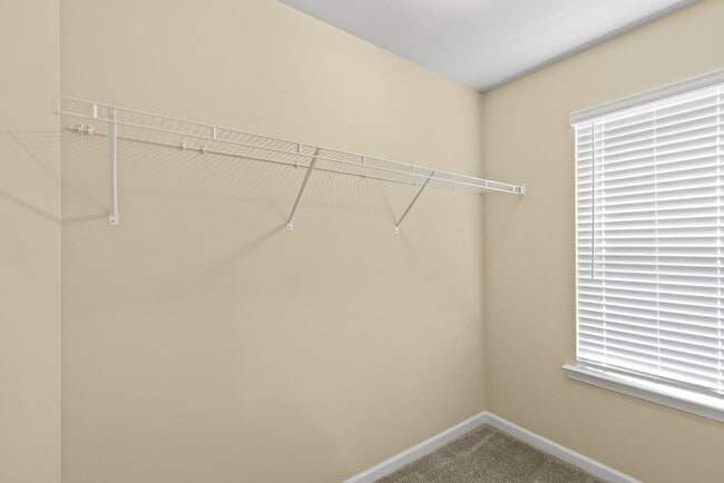 Building Photo - Spacious 5BR Home with Huge Fenced Backyard in The Reserve at Wyndham Gates!