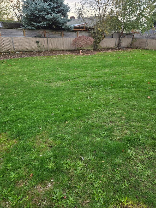 Building Photo - All like NEW Inside ! Great walk & bike scores - Large fenced backyard !