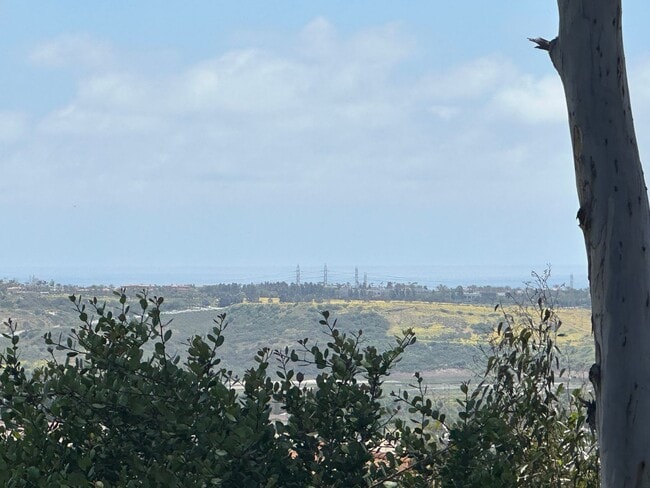 Building Photo - Two bedroom condo with view of ocean