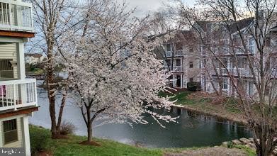 Building Photo - 20602 Cornstalk Terrace