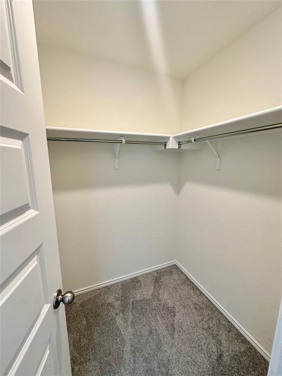 Building Photo - 4406 Venticano Pl