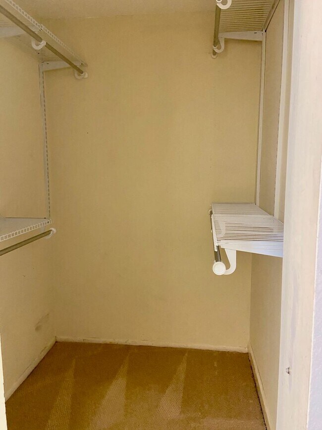 Building Photo - 2BD/1BA Condo in the Heart of Virginia Beach! Water Included!