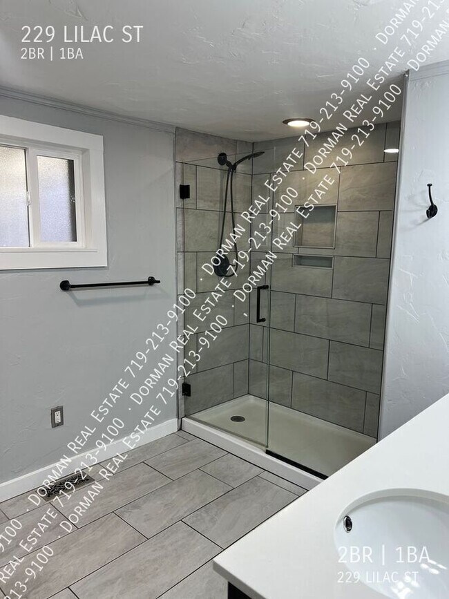 Building Photo - 229 Lilac St