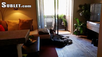 Building Photo - 5413 Manchaca Rd