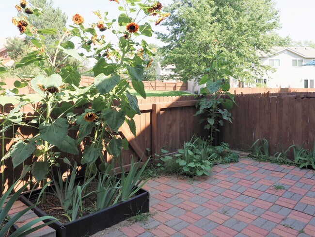 Patio - 1233 Warrior Way