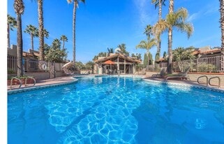 Building Photo - Indian Springs