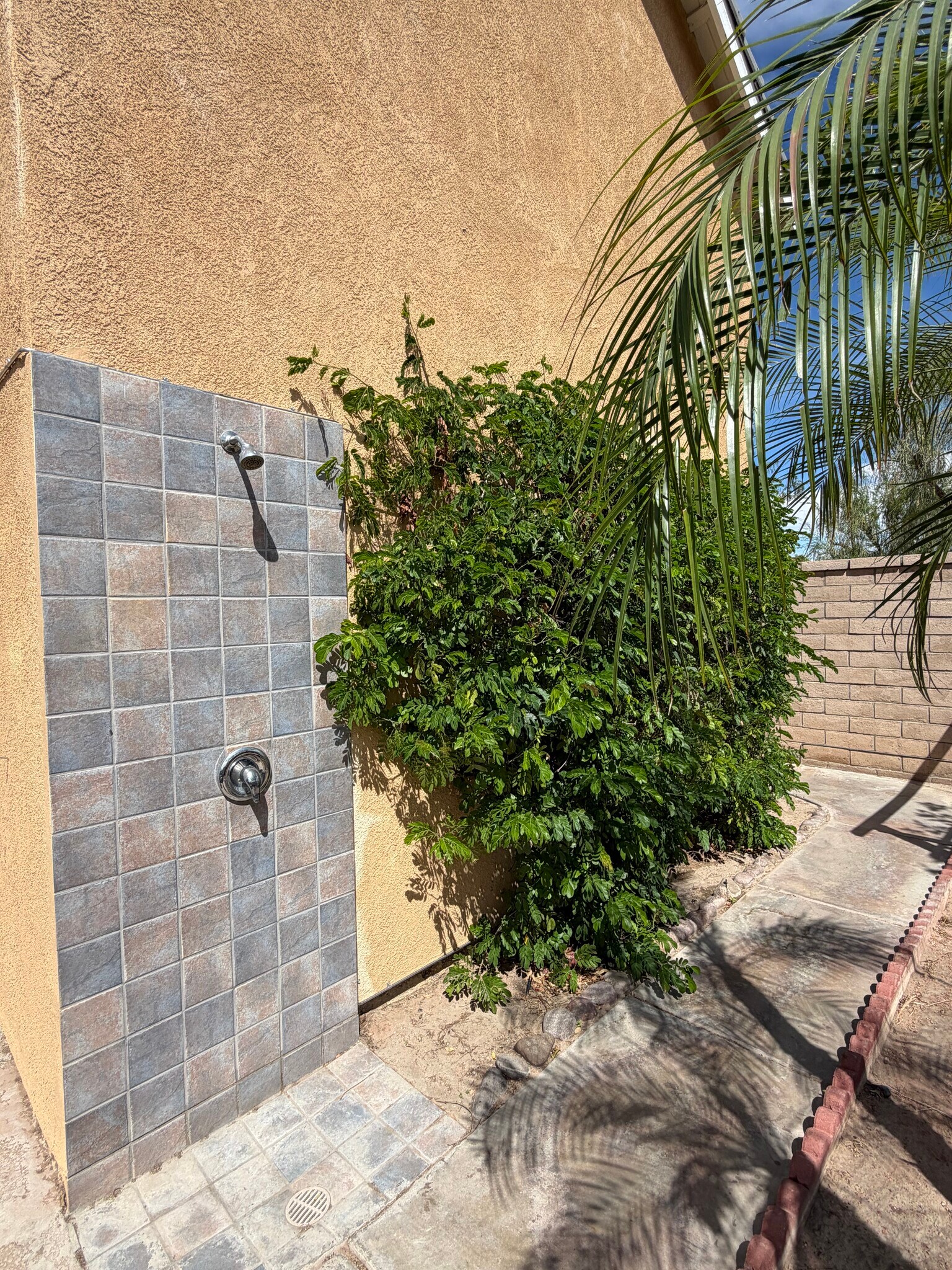 Building Photo - 48638 Barrymore St