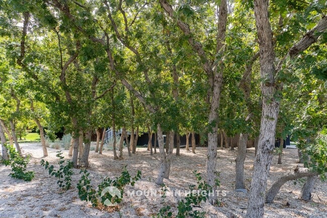 Building Photo - 3516 Summer Oaks Cir