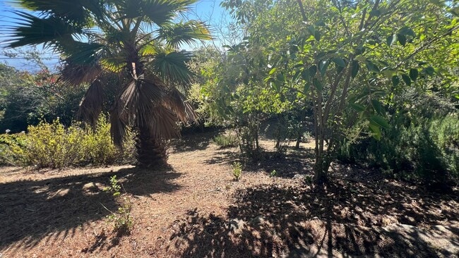 Building Photo - Mid-Century homes Rarely Available with Expansive Bay Views