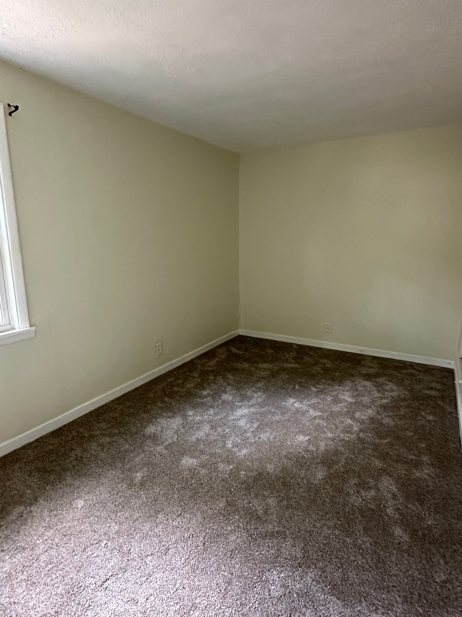 Building Photo - 445 Cedar Dr