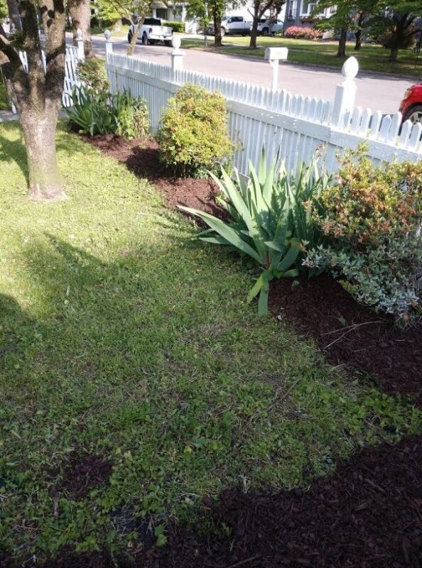 Building Photo - 306 E Cypress St