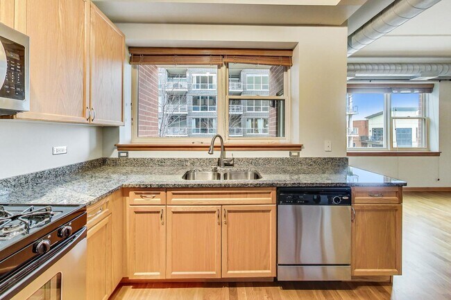 Building Photo - 873 N Larrabee St