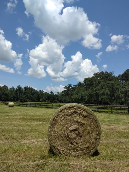 Building Photo - 8035 NW 120th St