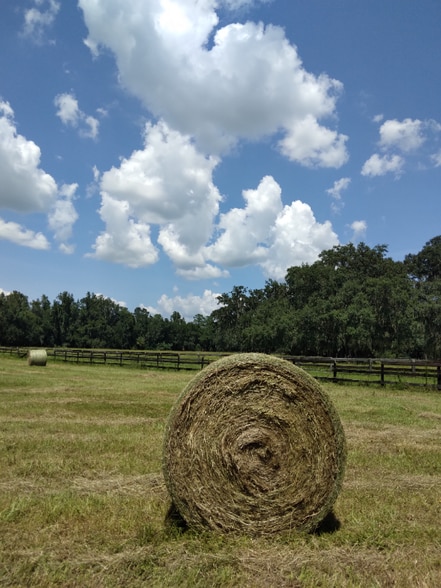 Building Photo - 8035 NW 120th St