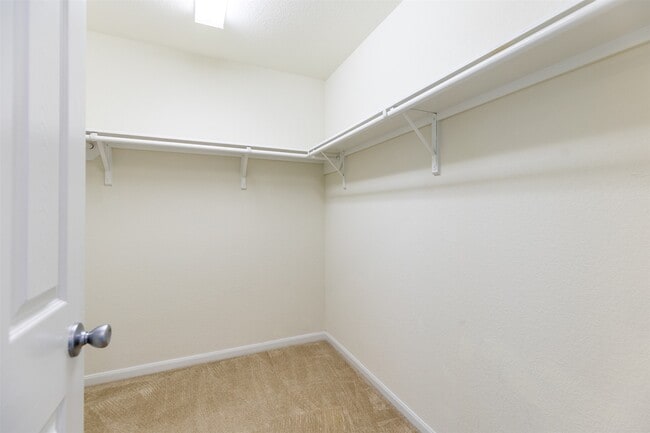 Building Photo - 15623 Hanover Breeze Ln