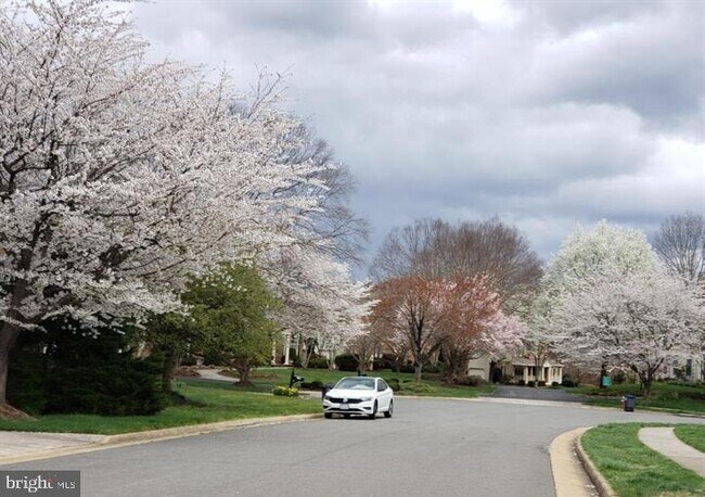 Building Photo - 10418 Willow Crest Ct