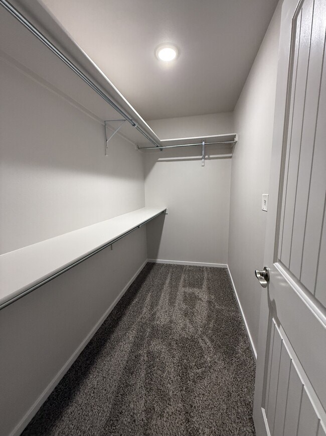 Building Photo - 1099 Sky River St