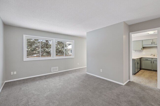 Building Photo - Lovely 4BR 2BA Townhome in Coon Rapids