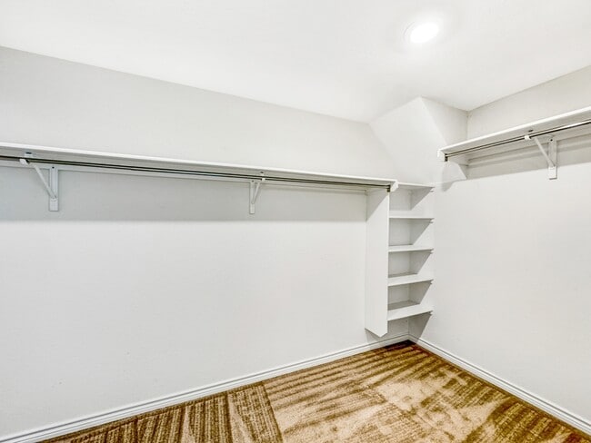 Building Photo - 3319 Taurus Sky