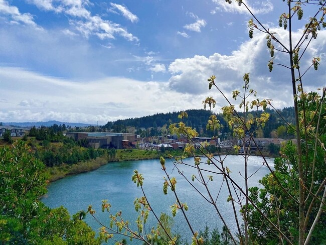 Building Photo - Pet-Friendly Townhome with Lake Views at Progress Ridge