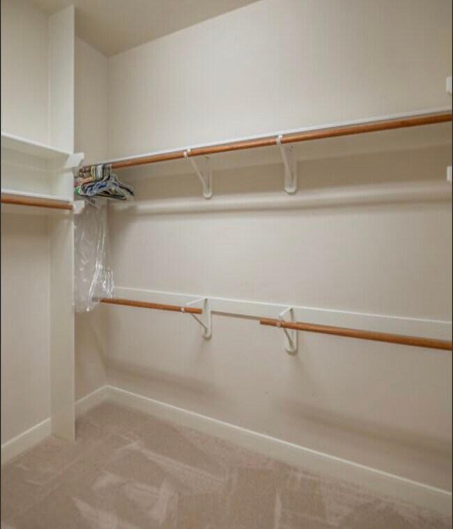 Building Photo - 5019 Shining Creek Ct