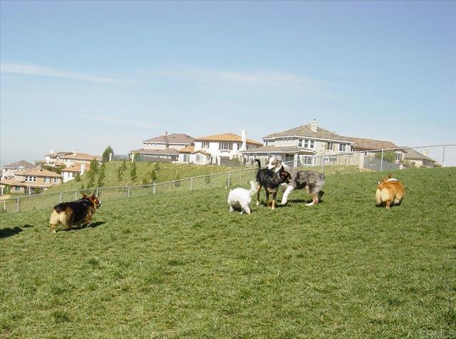 Building Photo - 1110 Festival Rd