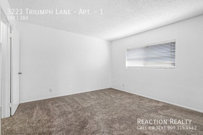 Building Photo - 3221 Triumph Ln