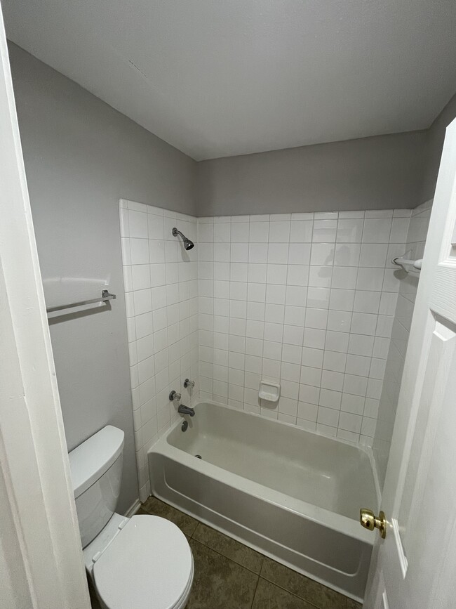 Master Bath - 301 Spring Branch Ln