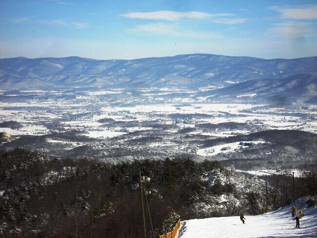 Building Photo - 141 Player Ct