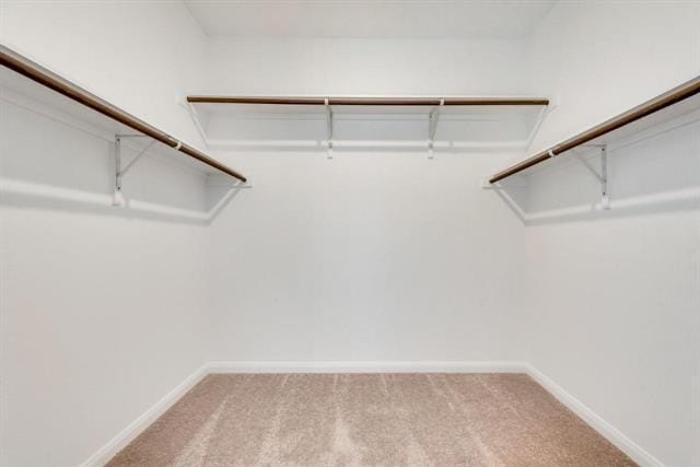 Building Photo - 4207 Briar Rose Way