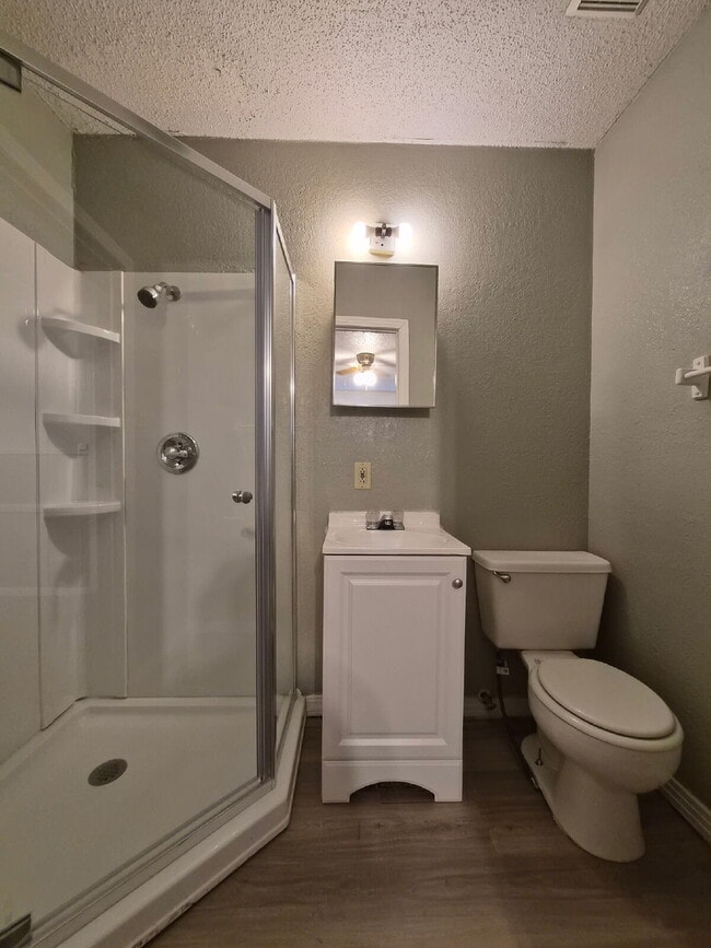 Building Photo - Pre-Leasing for Summer/Fall 2026 - Flooring Updates in Kitchen/Bathrooms, along with Updated Coun...