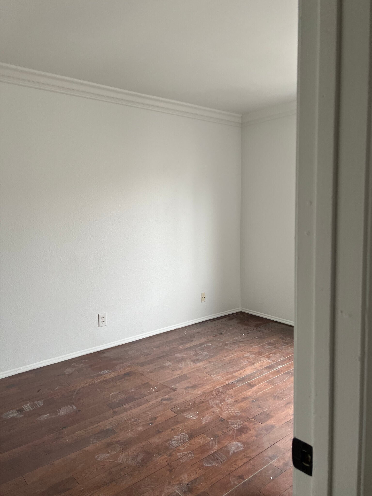 Building Photo - 1101 Laveta Terrace