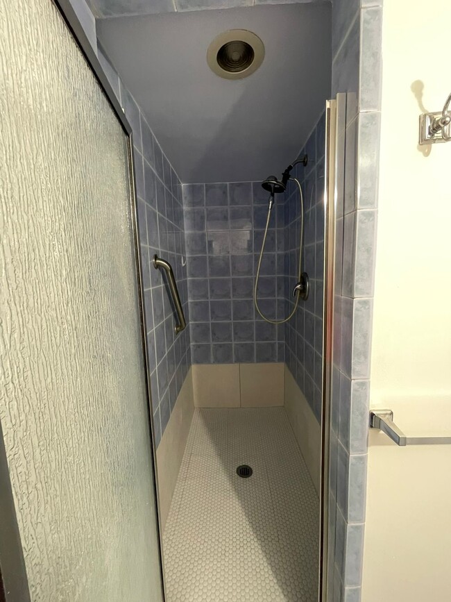 Master Shower - 2060 NW 81st Ave