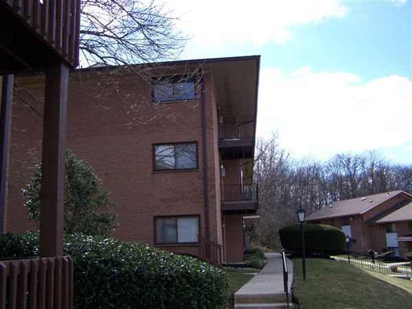 Building Photo - 1016 W Baltimore Pike