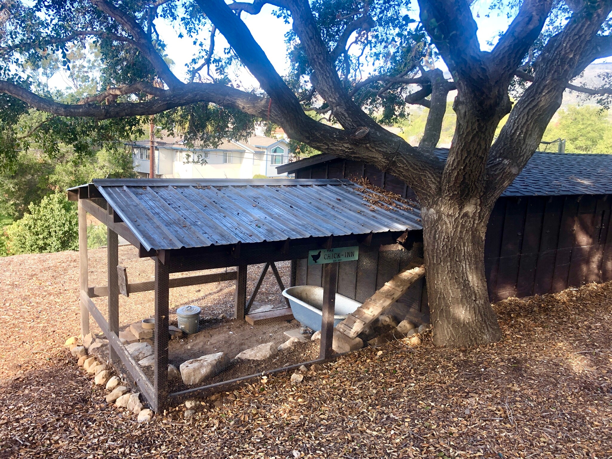 Chicken coop - 880 Cambridge Dr