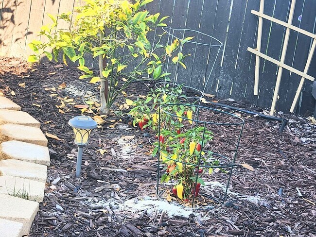 Building Photo - Nipomo Single Story Newly Updated