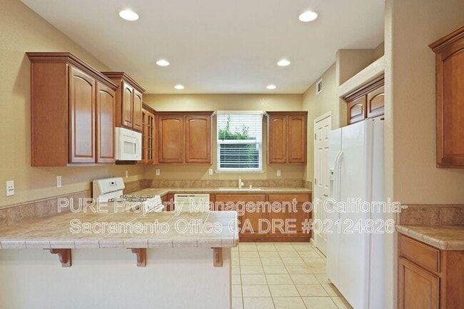 Building Photo - 441 Picasso Cir