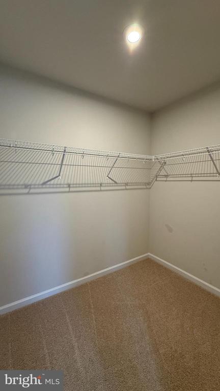 Building Photo - 6518 Wild Orchid Ct