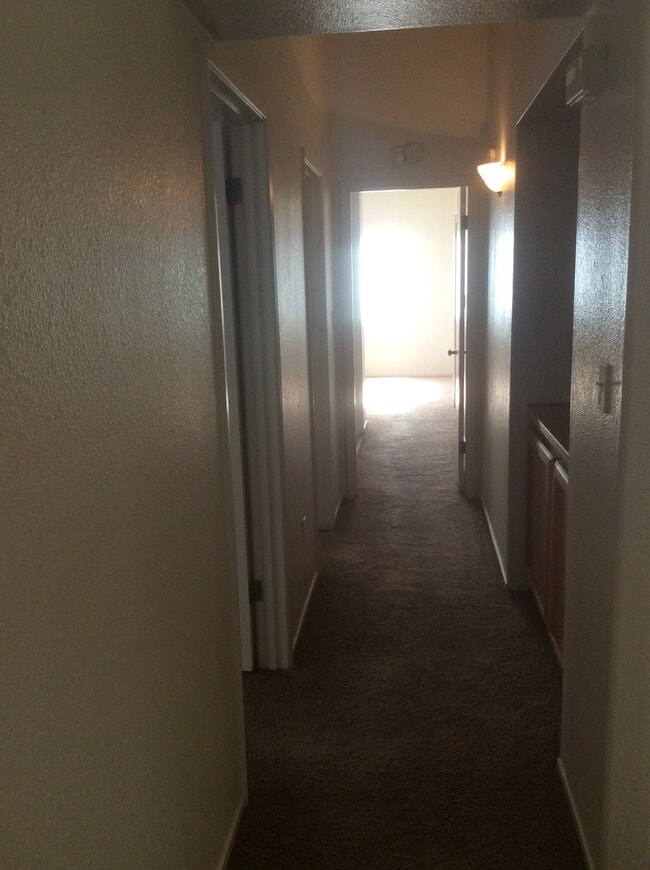 Building Photo - 7314 Sandrinilla St