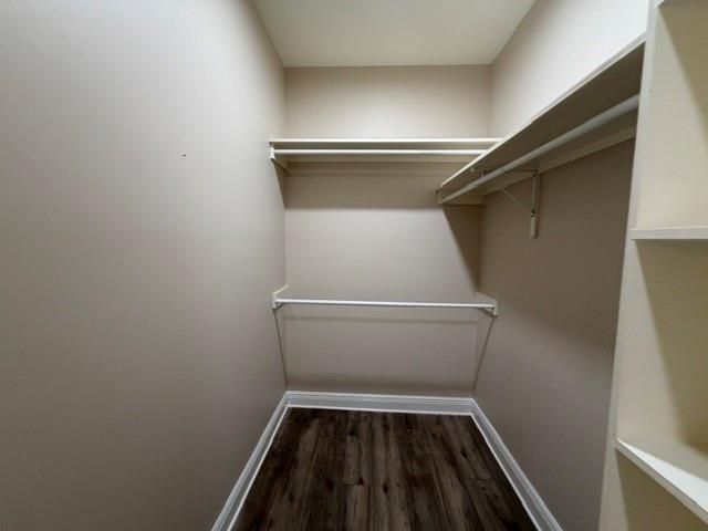 Building Photo - 3731 Praline Ct