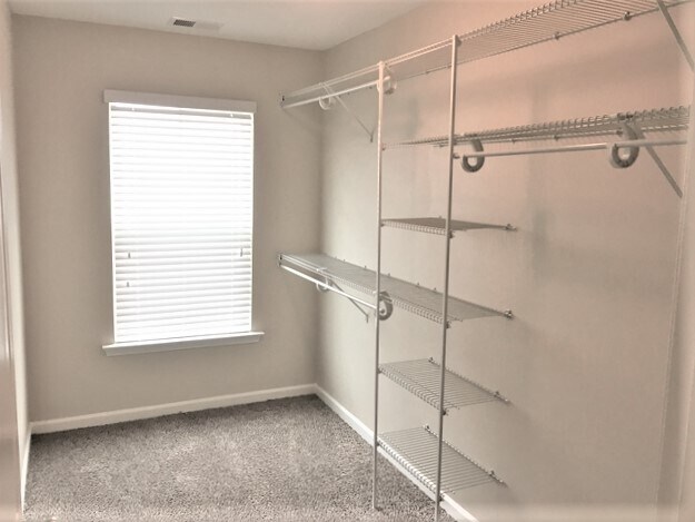 Building Photo - 51 Sand Valley Ct
