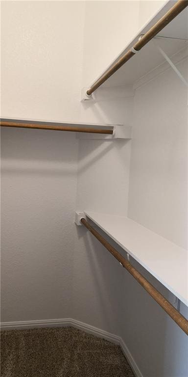 Building Photo - 12006 Hispania Ct