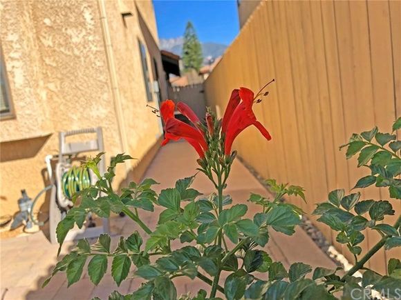 Building Photo - 10581 Sunburst Dr