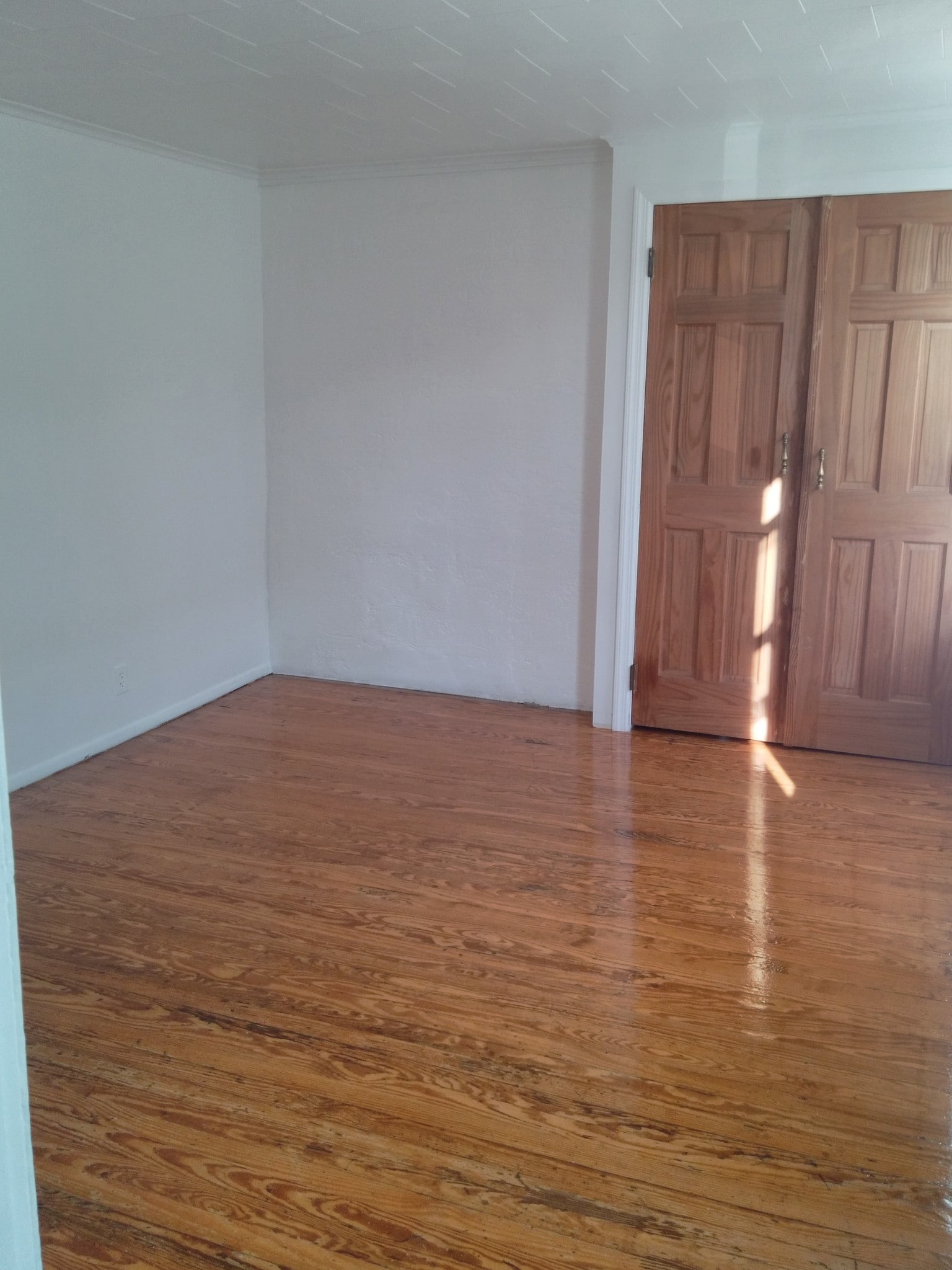 Bedroom 1 - 60 St Pauls Ave