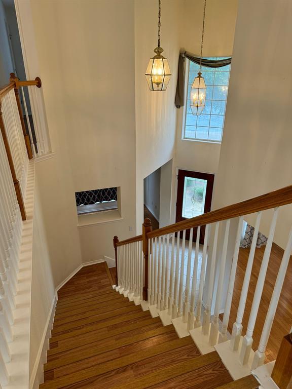 Building Photo - 9019 Mountain Mist Ln