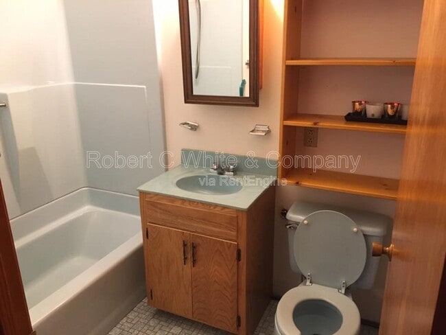 Building Photo - 1232 Trout Brook Dr