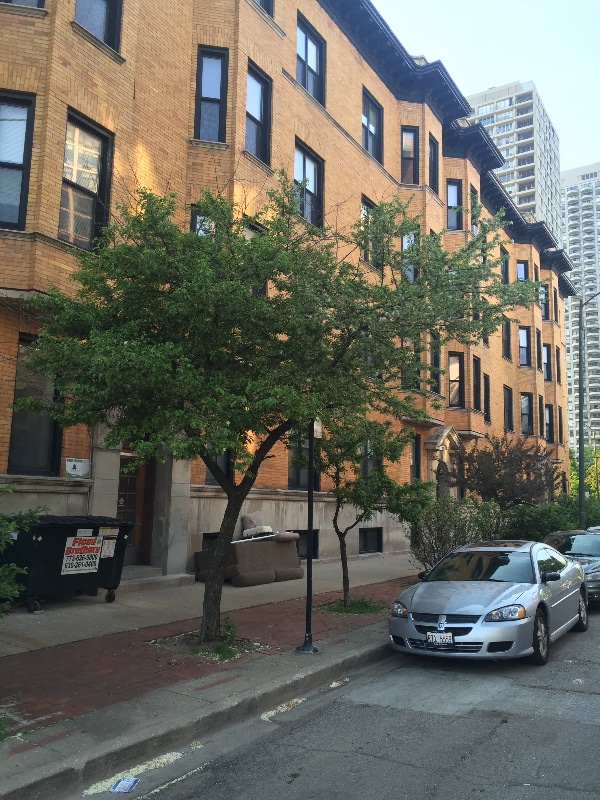 Primary Photo - 1916 N Lincoln Park W