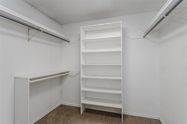 Building Photo - 2517 Rosewood Dr