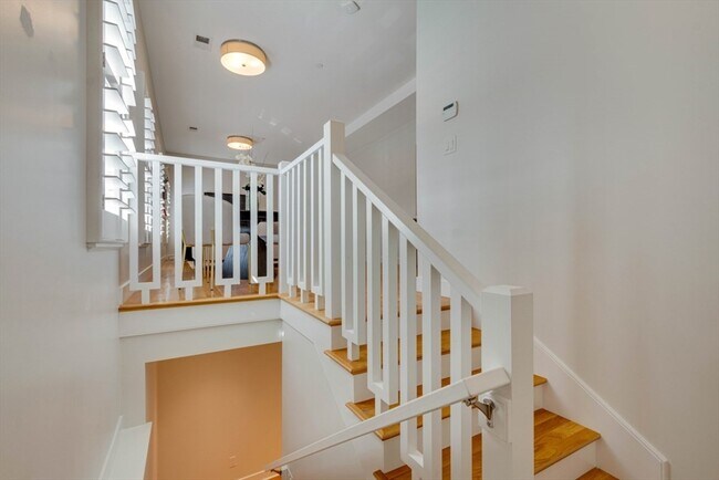 Building Photo - 242 Shawmut Ave
