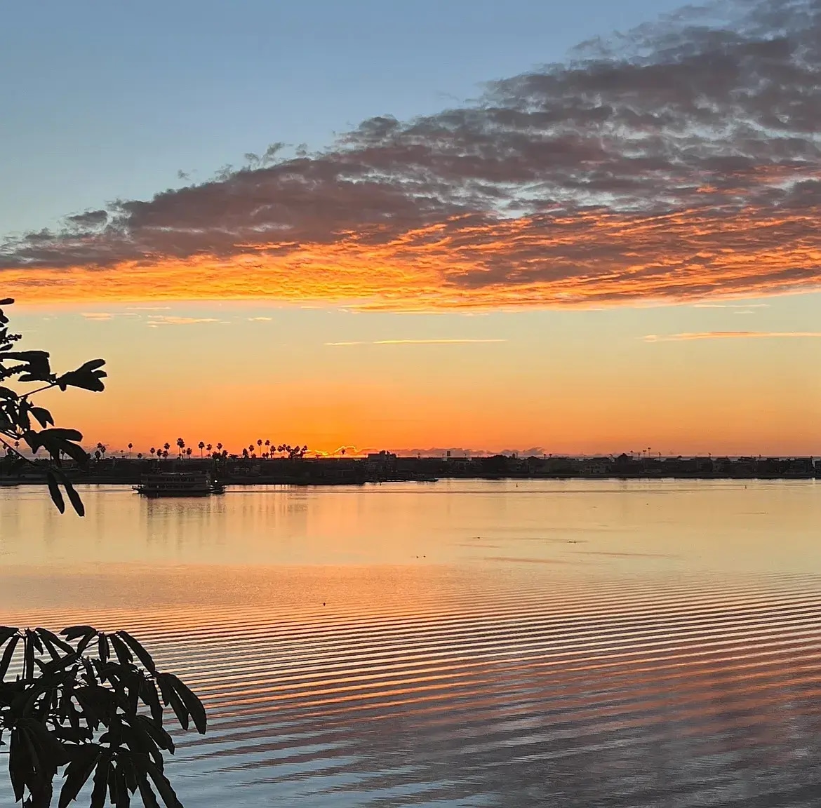 Building Photo - 3850 Riviera Dr